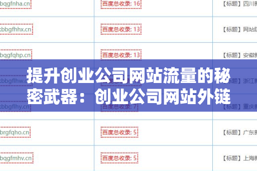 提升创业公司网站流量的秘密武器：创业公司网站外链代发服务