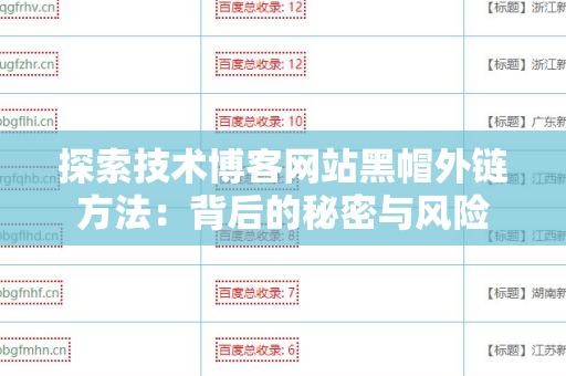探索技术博客网站黑帽外链方法：背后的秘密与风险
