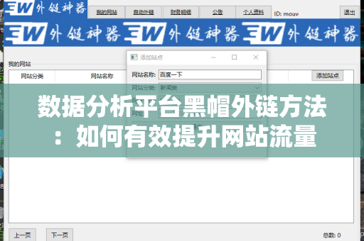 数据分析平台黑帽外链方法：如何有效提升网站流量