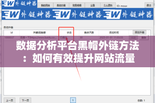 数据分析平台黑帽外链方法：如何有效提升网站流量