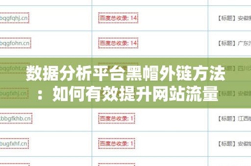 数据分析平台黑帽外链方法：如何有效提升网站流量