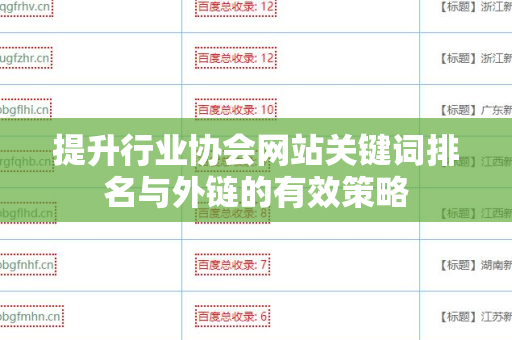 提升行业协会网站关键词排名与外链的有效策略