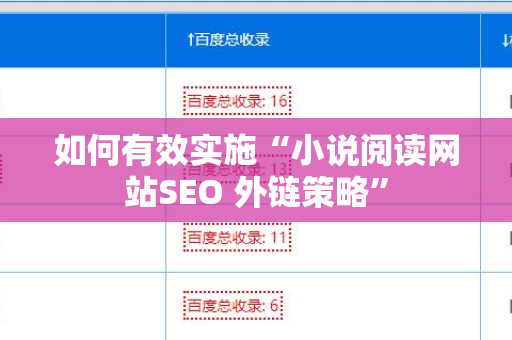 如何有效实施“小说阅读网站SEO 外链策略”