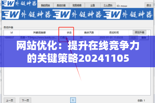 网站优化：提升在线竞争力的关键策略20241105