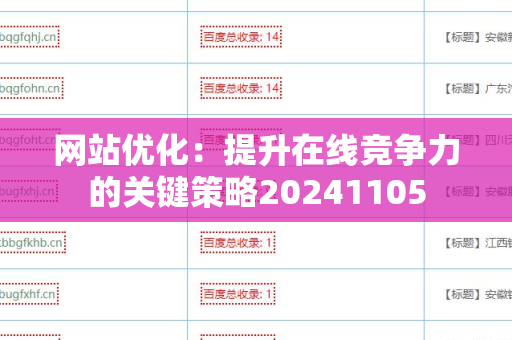 网站优化：提升在线竞争力的关键策略20241105