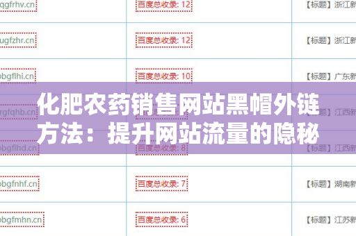 化肥农药销售网站黑帽外链方法：提升网站流量的隐秘策略