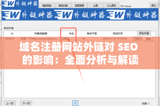 域名注册网站外链对 SEO 的影响：全面分析与解读