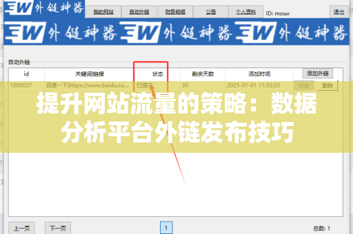 提升网站流量的策略：数据分析平台外链发布技巧
