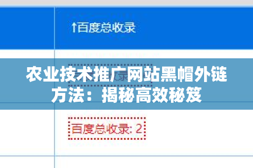 农业技术推广网站黑帽外链方法：揭秘高效秘笈