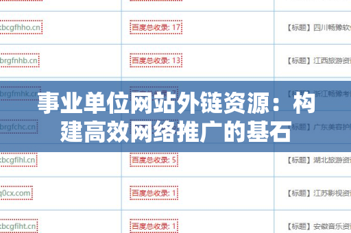 事业单位网站外链资源：构建高效网络推广的基石