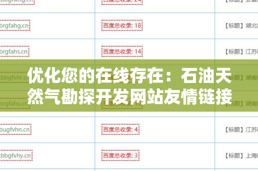 优化您的在线存在：石油天然气勘探开发网站友情链接交换平台