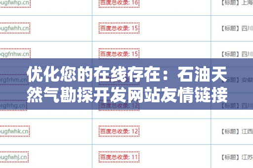 优化您的在线存在：石油天然气勘探开发网站友情链接交换平台