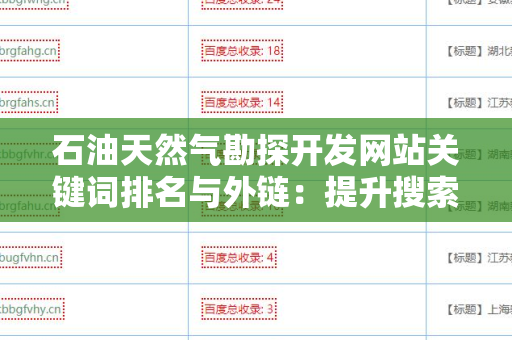 石油天然气勘探开发网站关键词排名与外链：提升搜索引擎可见性的终极指南