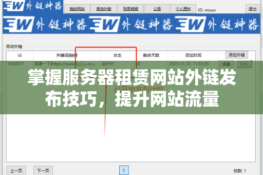 掌握服务器租赁网站外链发布技巧，提升网站流量