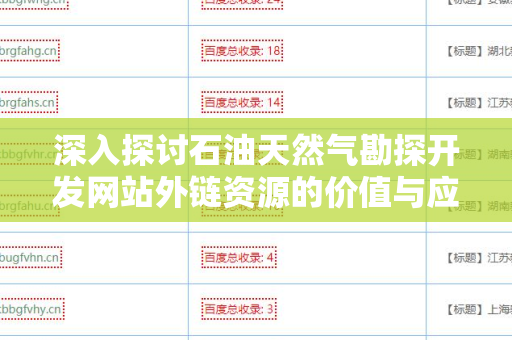 深入探讨石油天然气勘探开发网站外链资源的价值与应用