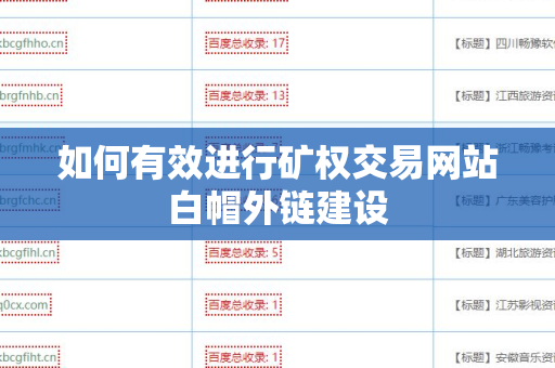 如何有效进行矿权交易网站白帽外链建设