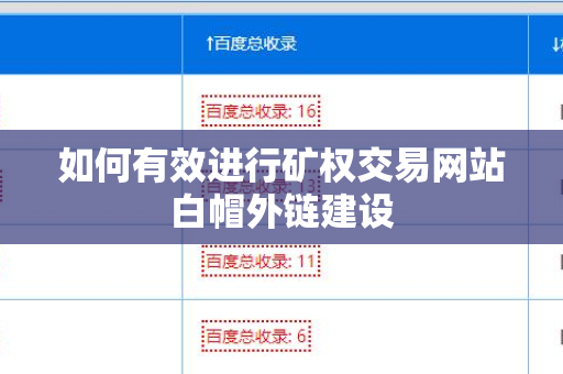 如何有效进行矿权交易网站白帽外链建设