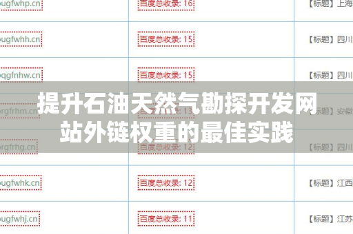 提升石油天然气勘探开发网站外链权重的最佳实践