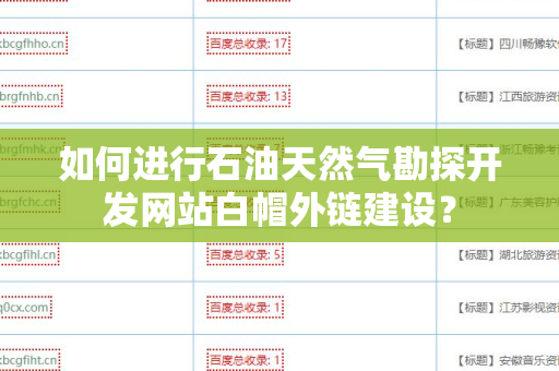 如何进行石油天然气勘探开发网站白帽外链建设？