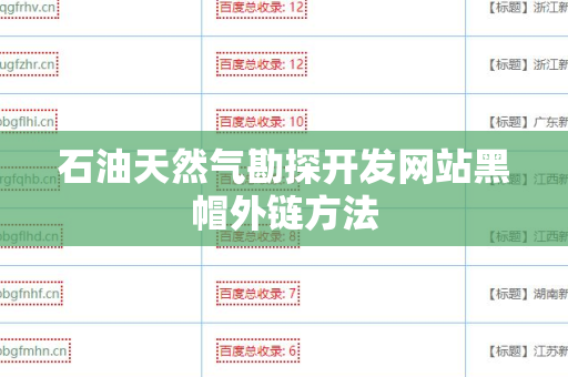 石油天然气勘探开发网站黑帽外链方法