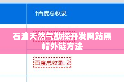 石油天然气勘探开发网站黑帽外链方法