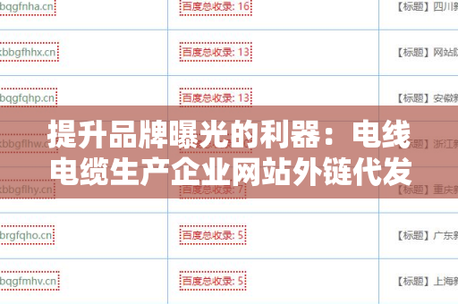 提升品牌曝光的利器：电线电缆生产企业网站外链代发服务