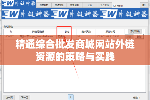 精通综合批发商城网站外链资源的策略与实践