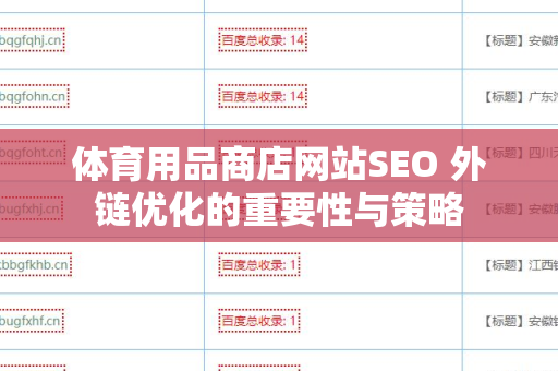 体育用品商店网站SEO 外链优化的重要性与策略