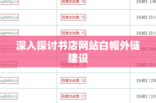 深入探讨书店网站白帽外链建设