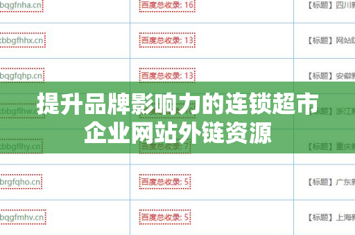 提升品牌影响力的连锁超市企业网站外链资源