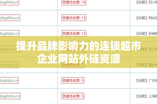 提升品牌影响力的连锁超市企业网站外链资源