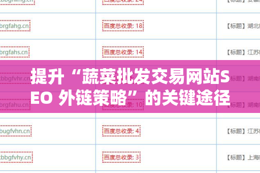 提升“蔬菜批发交易网站SEO 外链策略”的关键途径