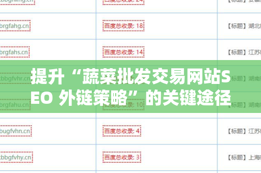提升“蔬菜批发交易网站SEO 外链策略”的关键途径
