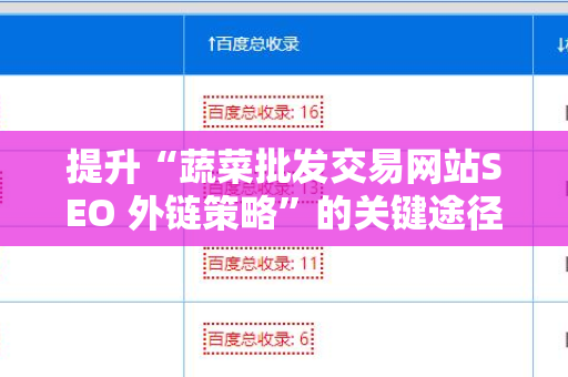 提升“蔬菜批发交易网站SEO 外链策略”的关键途径
