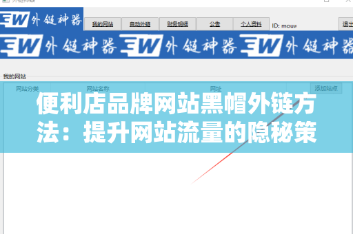 便利店品牌网站黑帽外链方法：提升网站流量的隐秘策略