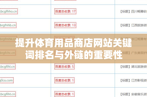 提升体育用品商店网站关键词排名与外链的重要性