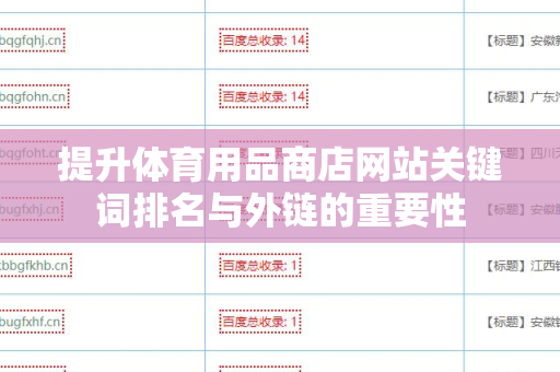 提升体育用品商店网站关键词排名与外链的重要性