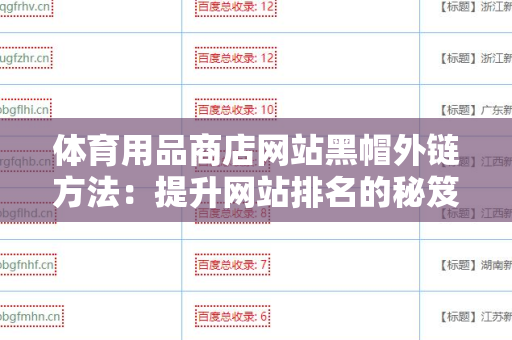 体育用品商店网站黑帽外链方法：提升网站排名的秘笈