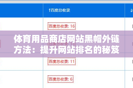 体育用品商店网站黑帽外链方法：提升网站排名的秘笈