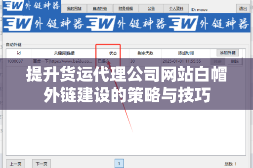 提升货运代理公司网站白帽外链建设的策略与技巧