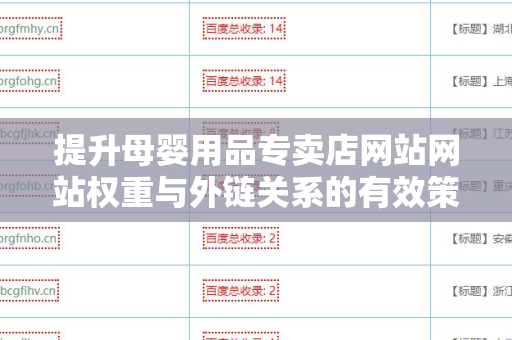 提升母婴用品专卖店网站网站权重与外链关系的有效策略