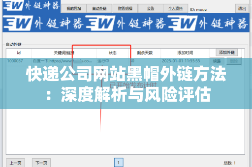 快递公司网站黑帽外链方法：深度解析与风险评估