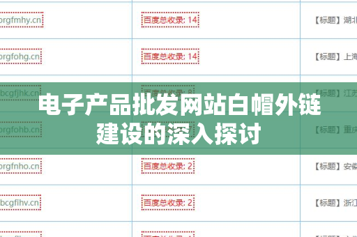 电子产品批发网站白帽外链建设的深入探讨