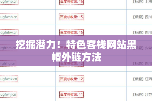 挖掘潜力！特色客栈网站黑帽外链方法