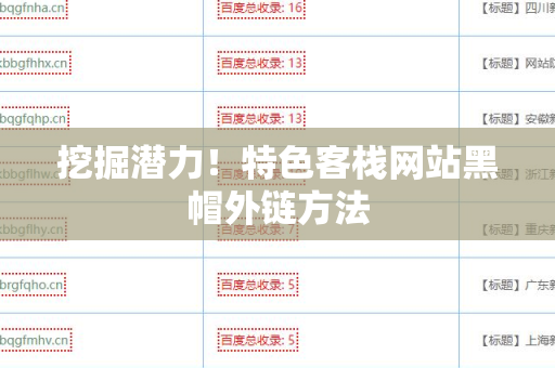 挖掘潜力！特色客栈网站黑帽外链方法