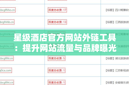 星级酒店官方网站外链工具：提升网站流量与品牌曝光的秘密武器
