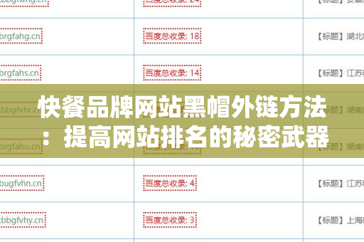 快餐品牌网站黑帽外链方法：提高网站排名的秘密武器