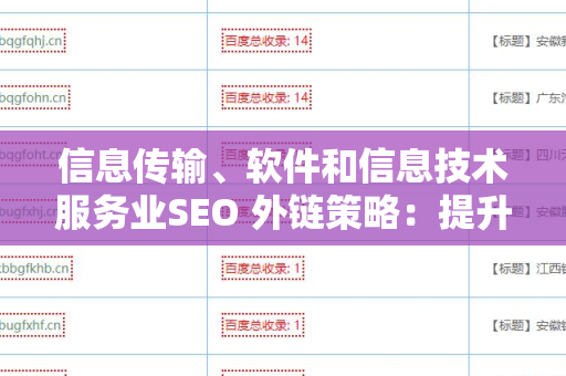 信息传输、软件和信息技术服务业SEO 外链策略：提升在线可见度的关键