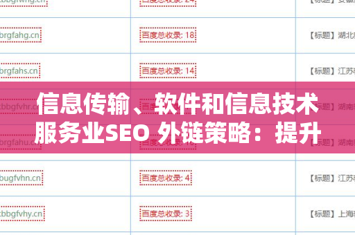 信息传输、软件和信息技术服务业SEO 外链策略：提升在线可见度的关键