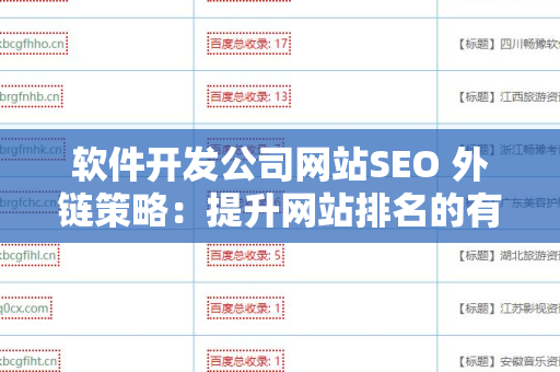 软件开发公司网站SEO 外链策略：提升网站排名的有效途径